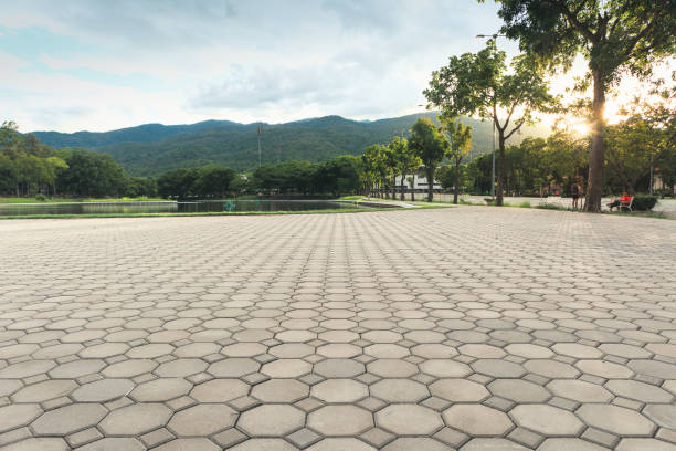 Best Custom Driveway Pavers  in St Petersburg, FL