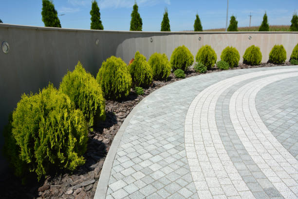 Best Best Driveway Pavers  in St Petersburg, FL